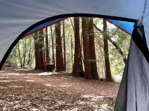 14136 Long Ridge Road Los Gatos, CA 95033 - Photo 71 of 75 wooden floor in an empty room with a large window