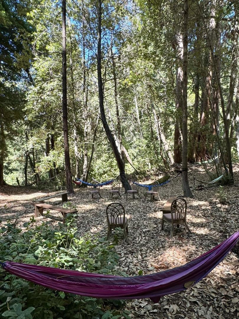 14136 Long Ridge Road Los Gatos, CA 95033 - Photo 72 of 75 a view of a yard with trees