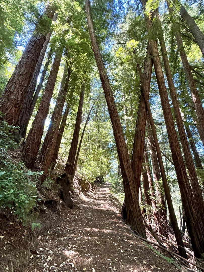 14136 Long Ridge Road Los Gatos, CA 95033 - Photo 74 of 75