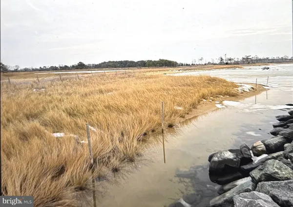 a view of an ocean and beach