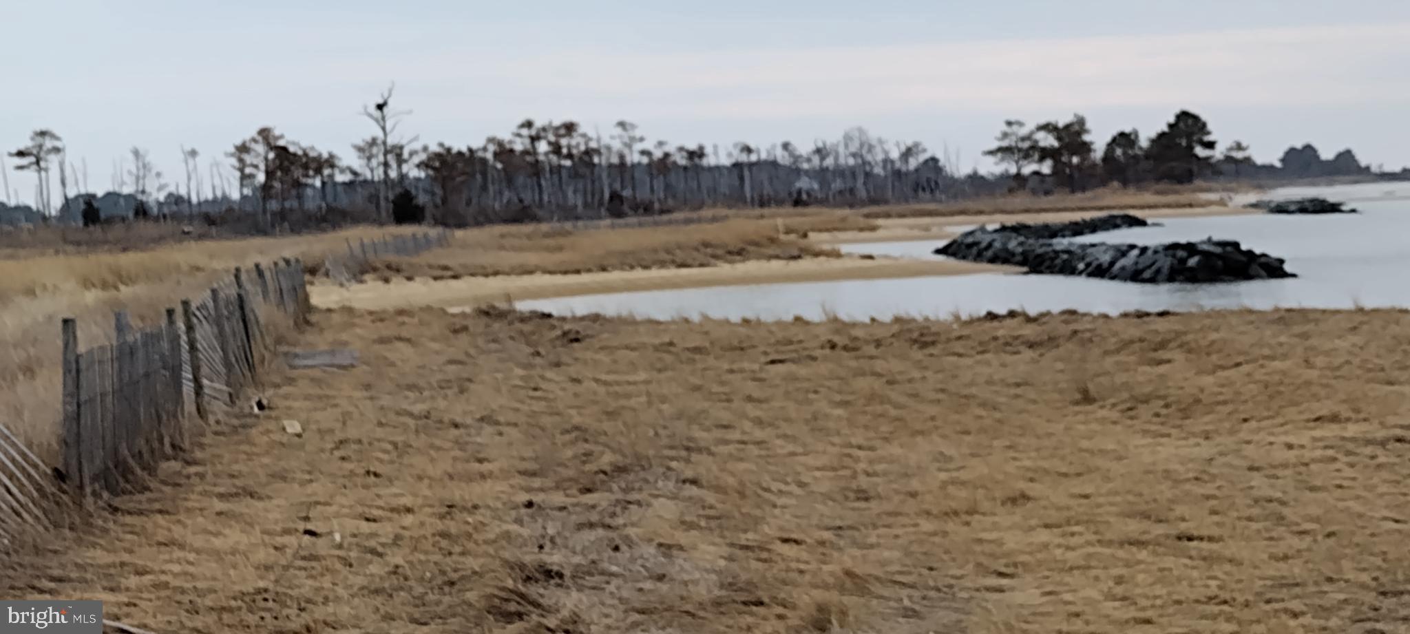 0 Crowell Road Deal Island, MD 21821 - Photo 11 of 22 a view of a lake