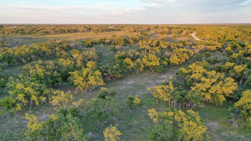 0 Stevens Ranch Road Harper, TX 78631 - Photo 3 of 31 a view of an outdoor space and mountain view