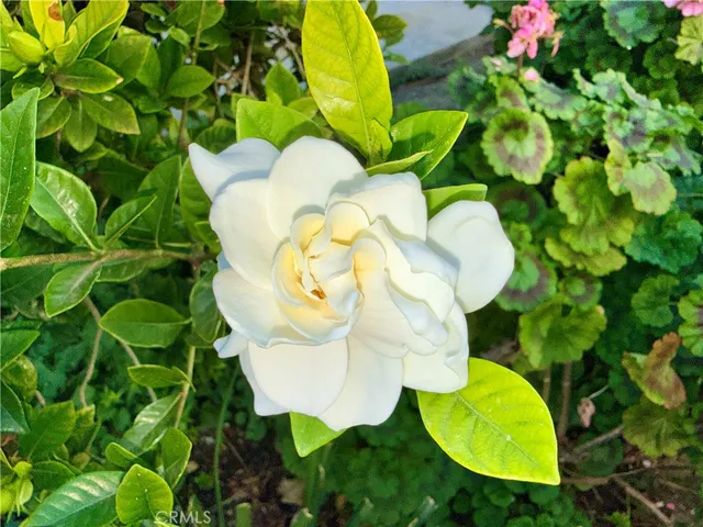 $342,500 | 20930 Parthenia Street, Unit 216, Canoga Park, CA 91304