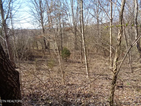 $44,900 | 0 Holston River Drive, Rutledge, TN 37861