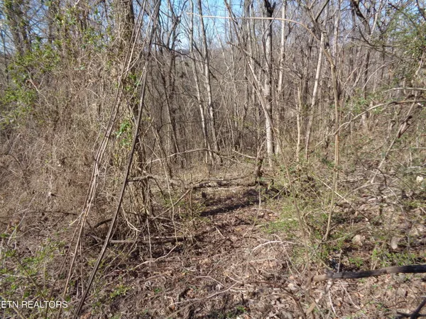 $44,900 | 0 Holston River Drive, Rutledge, TN 37861