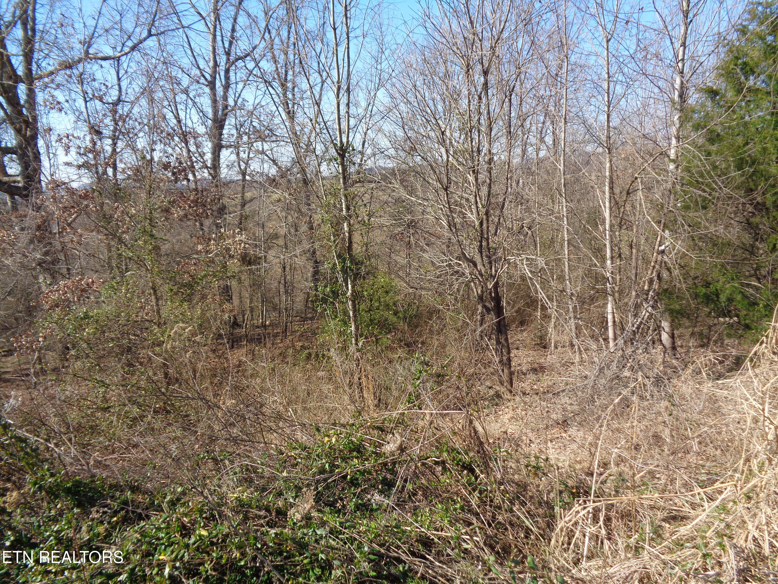 0 Holston River Drive Rutledge, TN 37861 - Photo 13 of 13 DSC00780