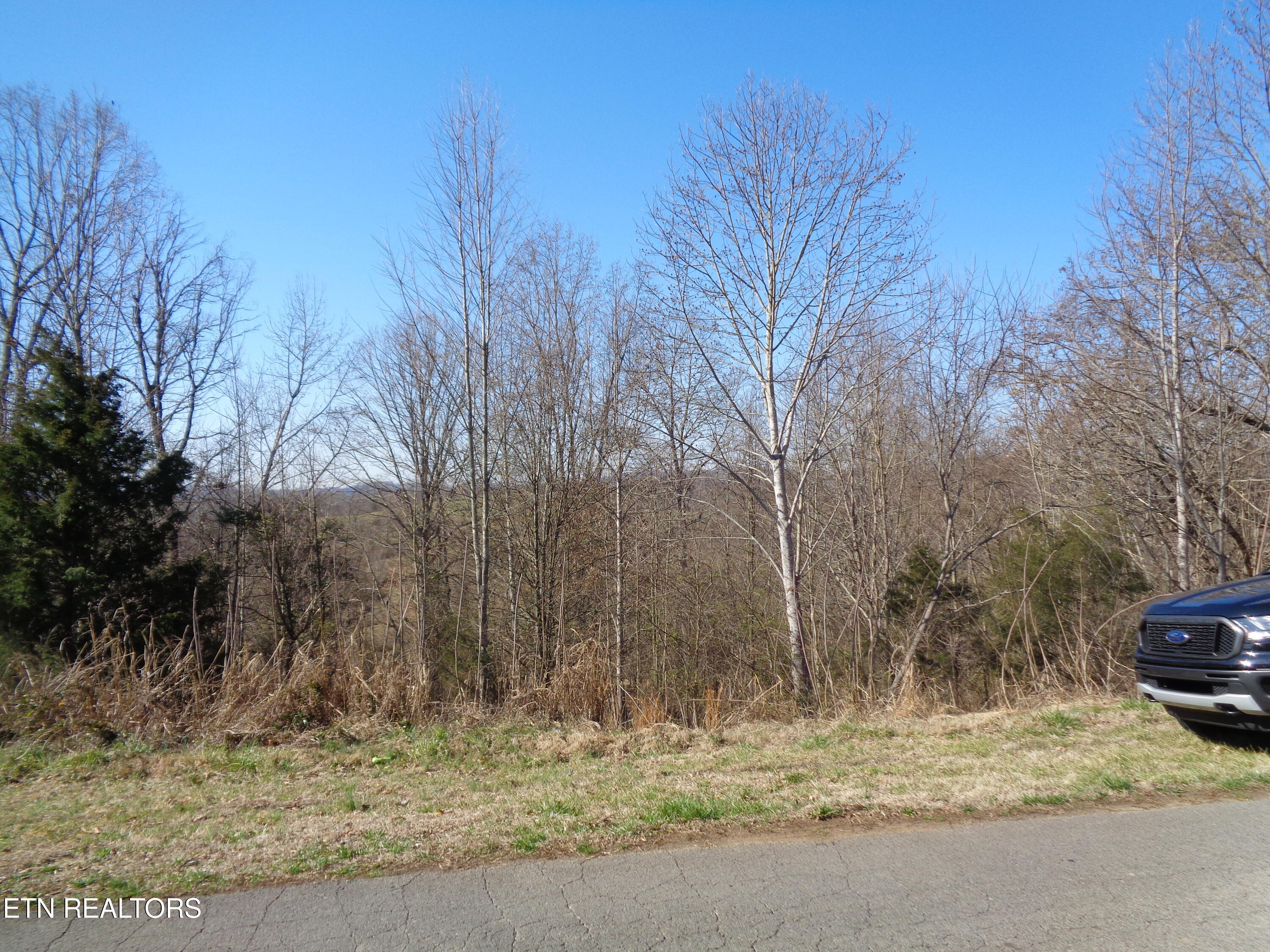 0 Holston River Drive Rutledge, TN 37861 - Photo 3 of 13 DSC00769