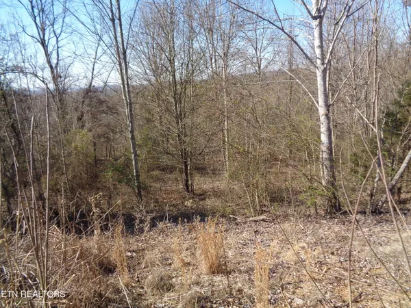 $44,900 | 0 Holston River Drive, Rutledge, TN 37861
