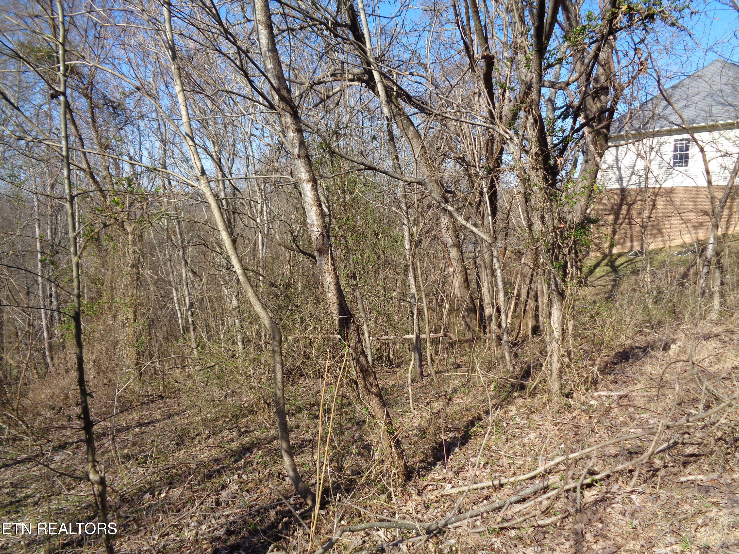 0 Holston River Drive Rutledge, TN 37861 - Photo 5 of 13 DSC00772