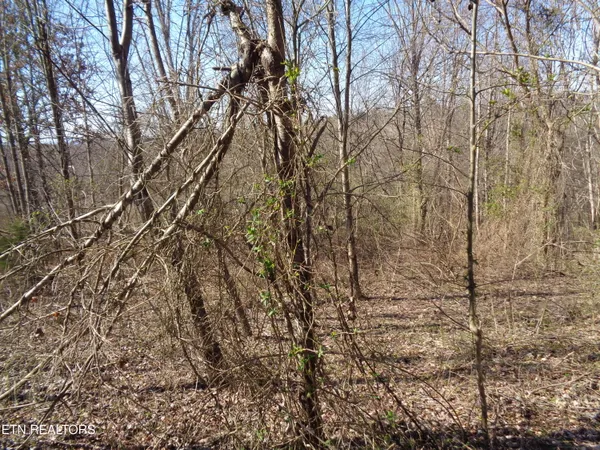 $44,900 | 0 Holston River Drive, Rutledge, TN 37861