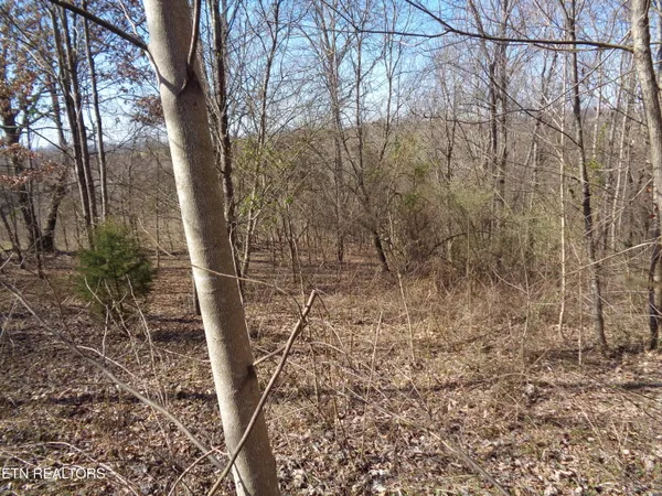 $44,900 | 0 Holston River Drive, Rutledge, TN 37861