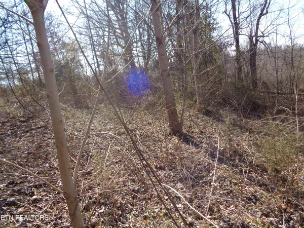 $44,900 | 0 Holston River Drive, Rutledge, TN 37861