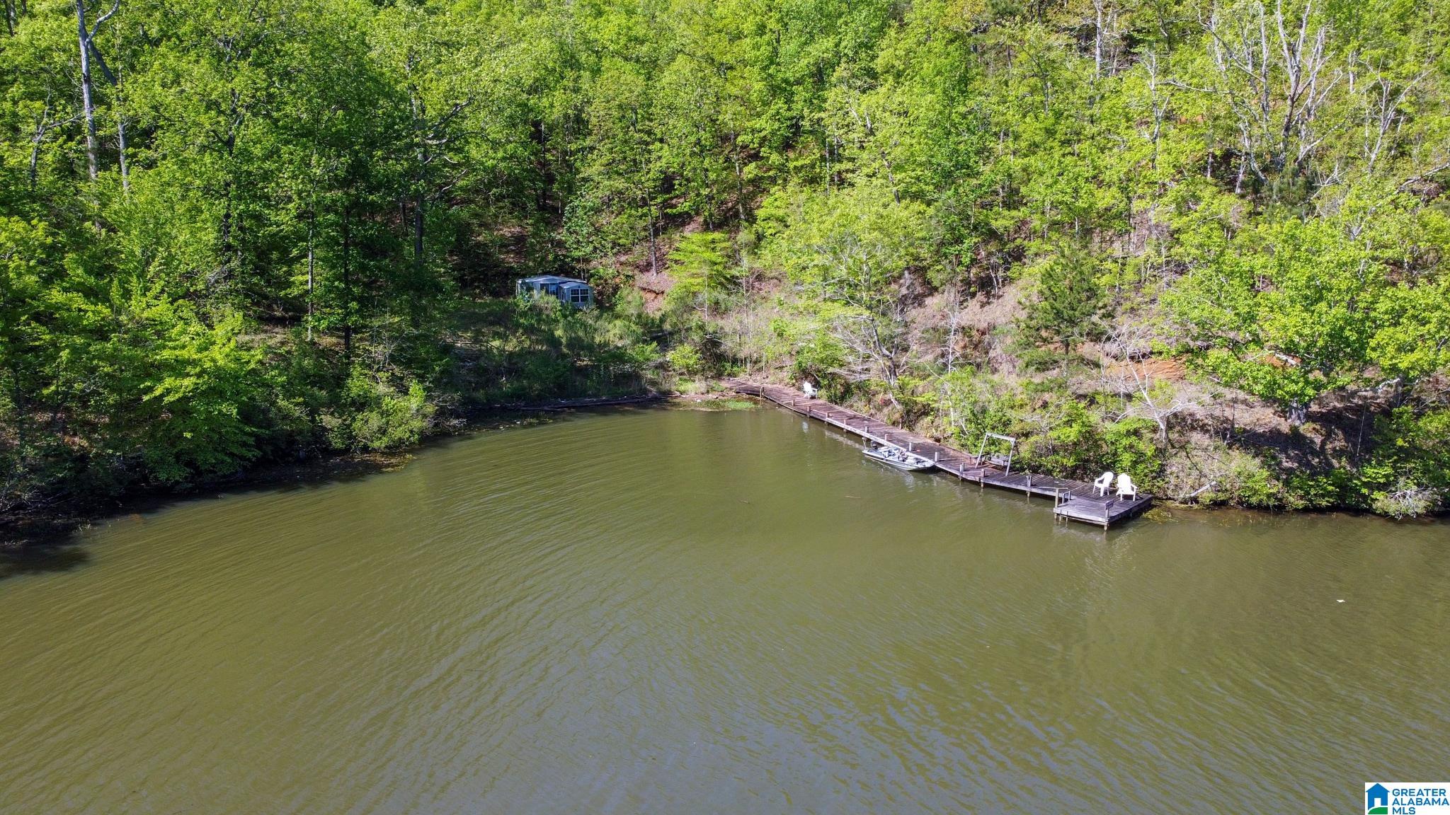 517 Indian Springs Road Rockford, AL 35136 - Photo 36 of 39