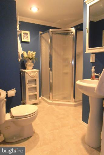 132 Embleton Road Owings Mills, MD 21117 - Photo 28 of 30 Bath #2 lower level
