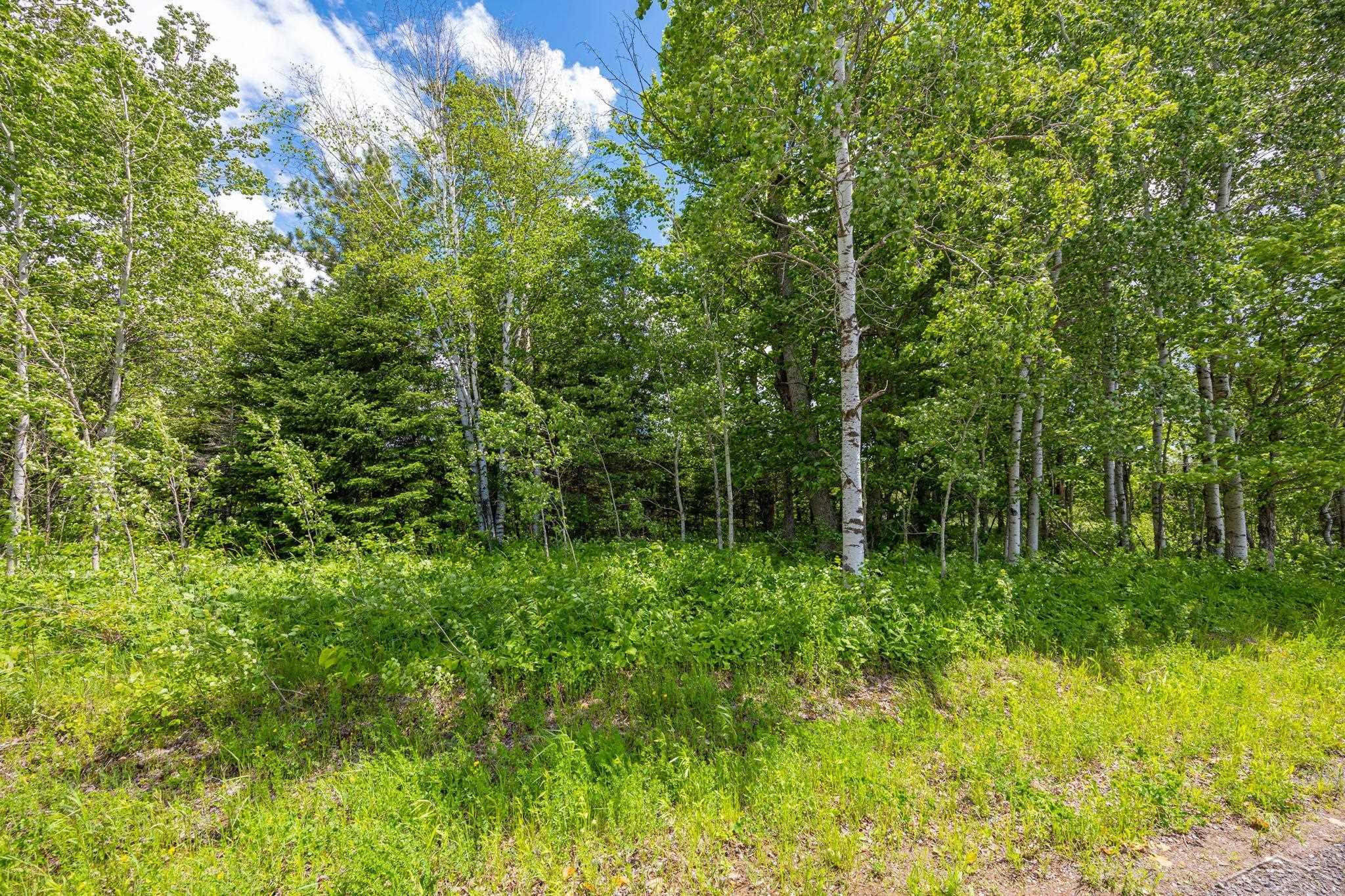 25615 Leo S Road Watton, MI 49970 - Photo 70 of 72