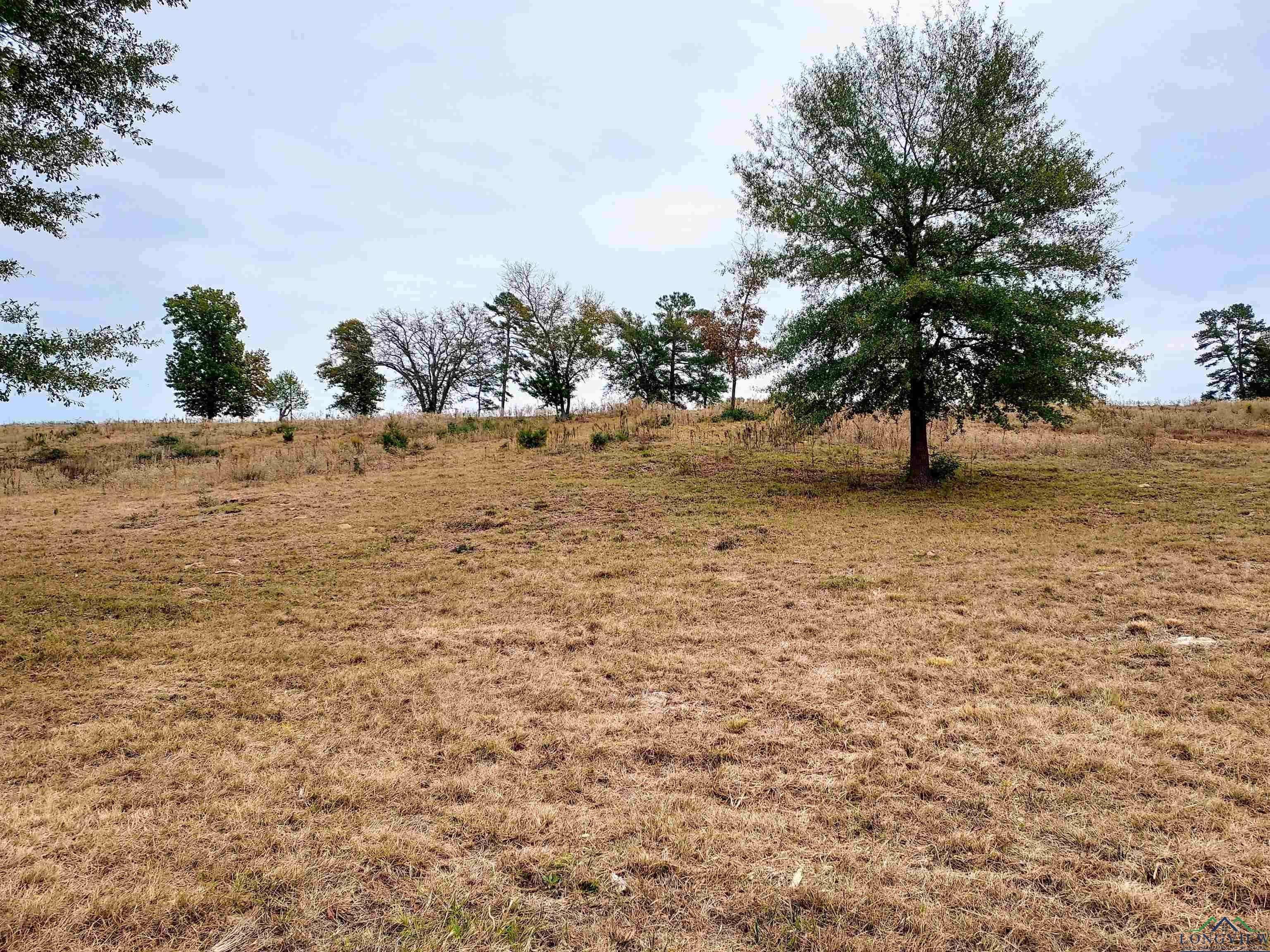 Tbd Almond Road Big Sandy, TX 75755 - Photo 29 of 36 Gallery Image 29