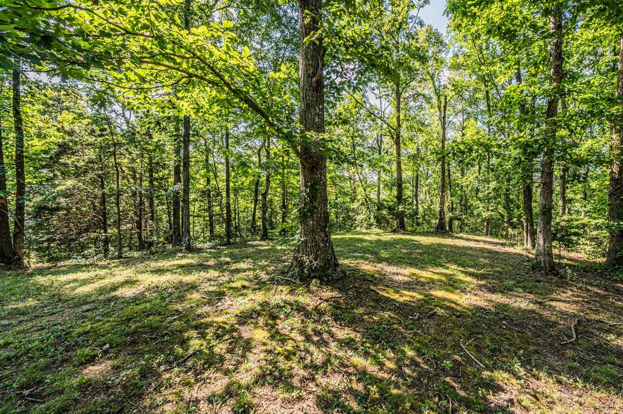 1050 Glen Shaw Road Edmonton, KY 42129 - Photo 31 of 43 Gallery Image 31
