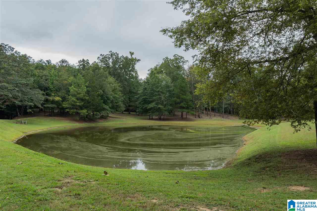 9465 Marsh Mountain Road Pinson, AL 35126 - Photo 35 of 38