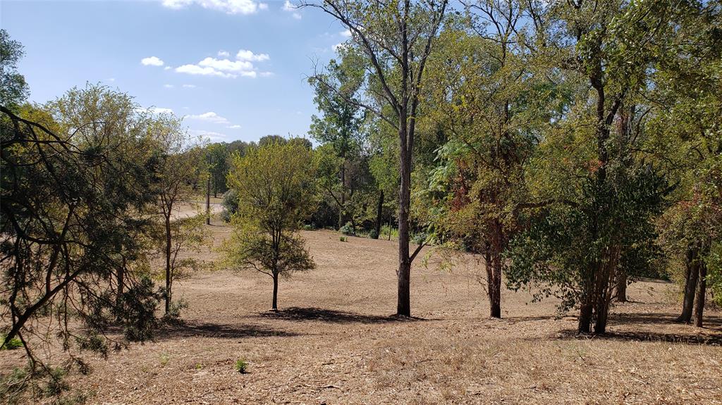 Tbd Canyon Ridge Drive Waco, TX 76705 - Photo 23 of 24