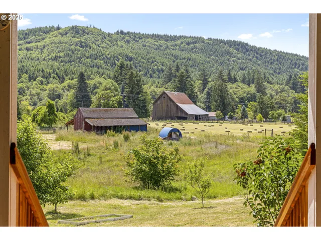 a view of a yard with a swimming pool