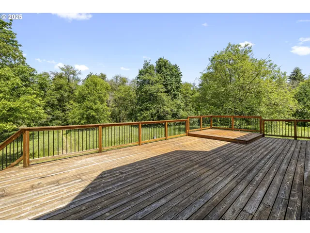 a backyard of a house with plants and trees