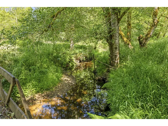 a view of a plant in a garden
