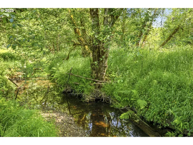 a view of a yard with an trees