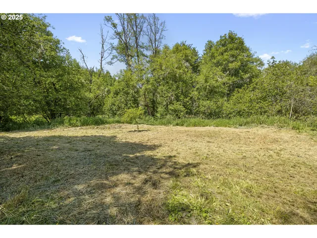 a view of a yard with plants and a bench