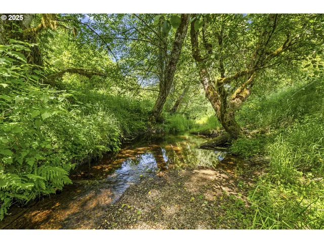 $760,000 | 67856 Nehalem Highway North, Vernonia, OR 97064