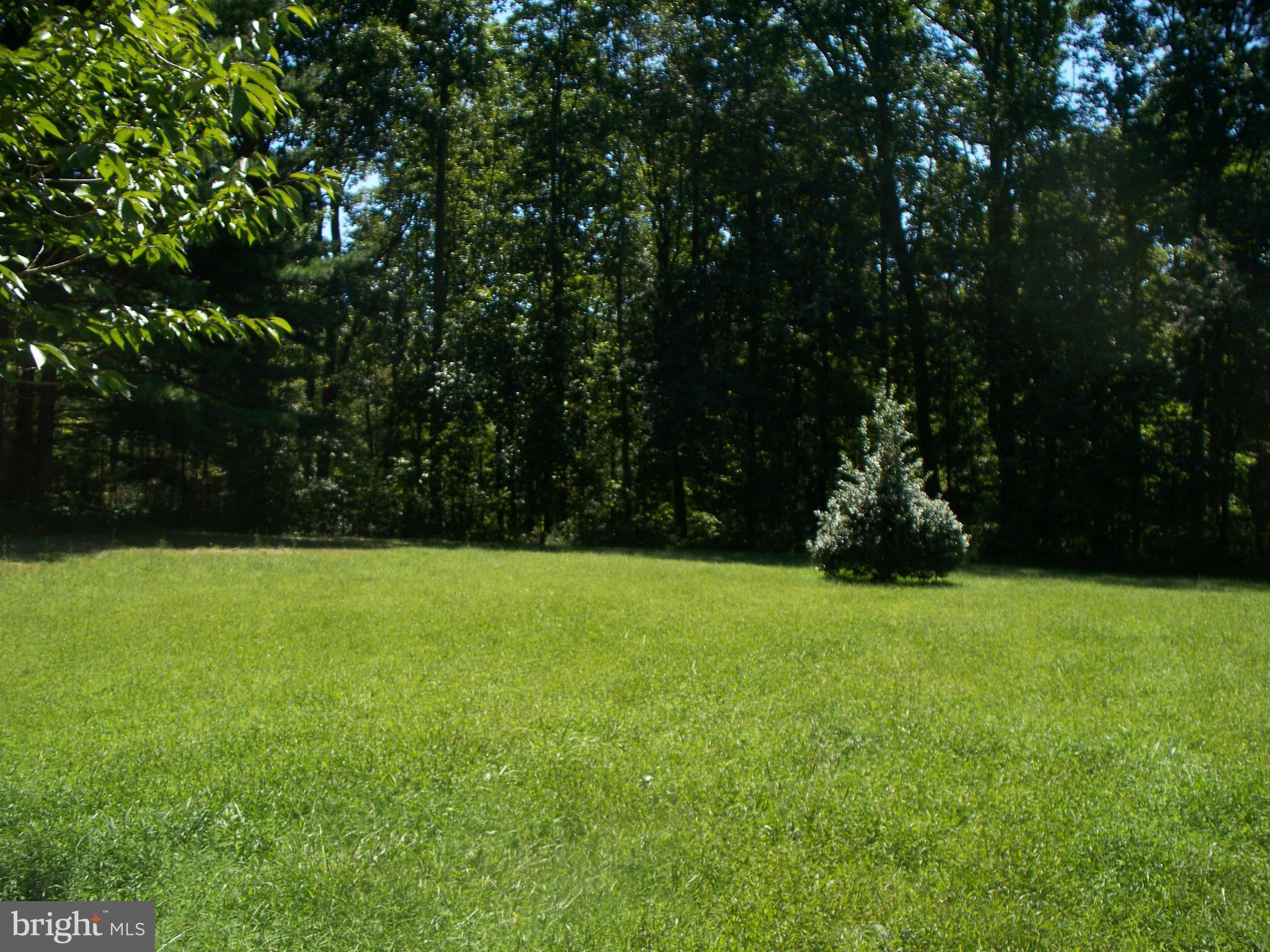 1111 Linkous Road Pylesville, MD 21132 - Photo 11 of 12 View of Rear Yard