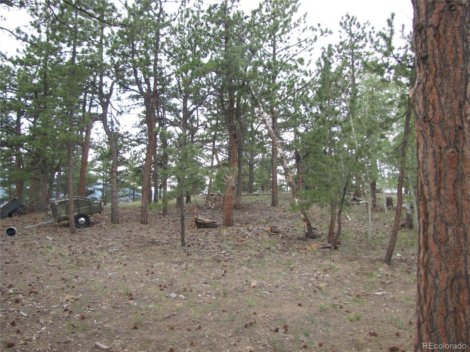 946 Wagon Wheel Road Hartsel, CO 80449 - Photo 11 of 15 Gallery Image 11