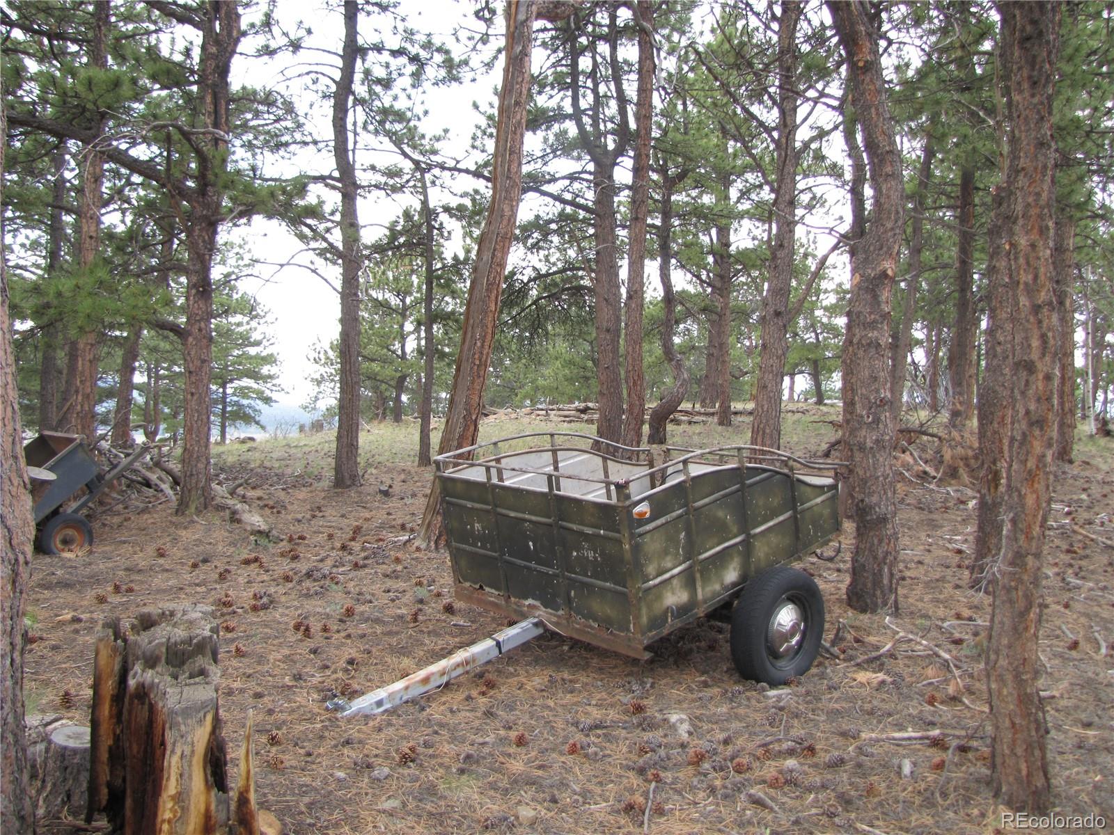 946 Wagon Wheel Road Hartsel, CO 80449 - Photo 13 of 15 Gallery Image 13