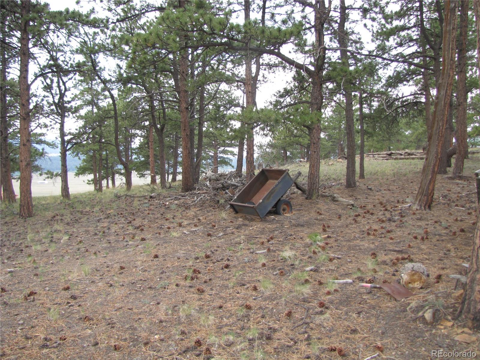 946 Wagon Wheel Road Hartsel, CO 80449 - Photo 14 of 15 Gallery Image 14