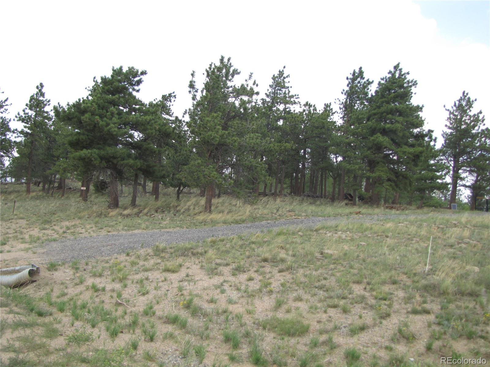 946 Wagon Wheel Road Hartsel, CO 80449 - Photo 3 of 15 Gallery Image 3