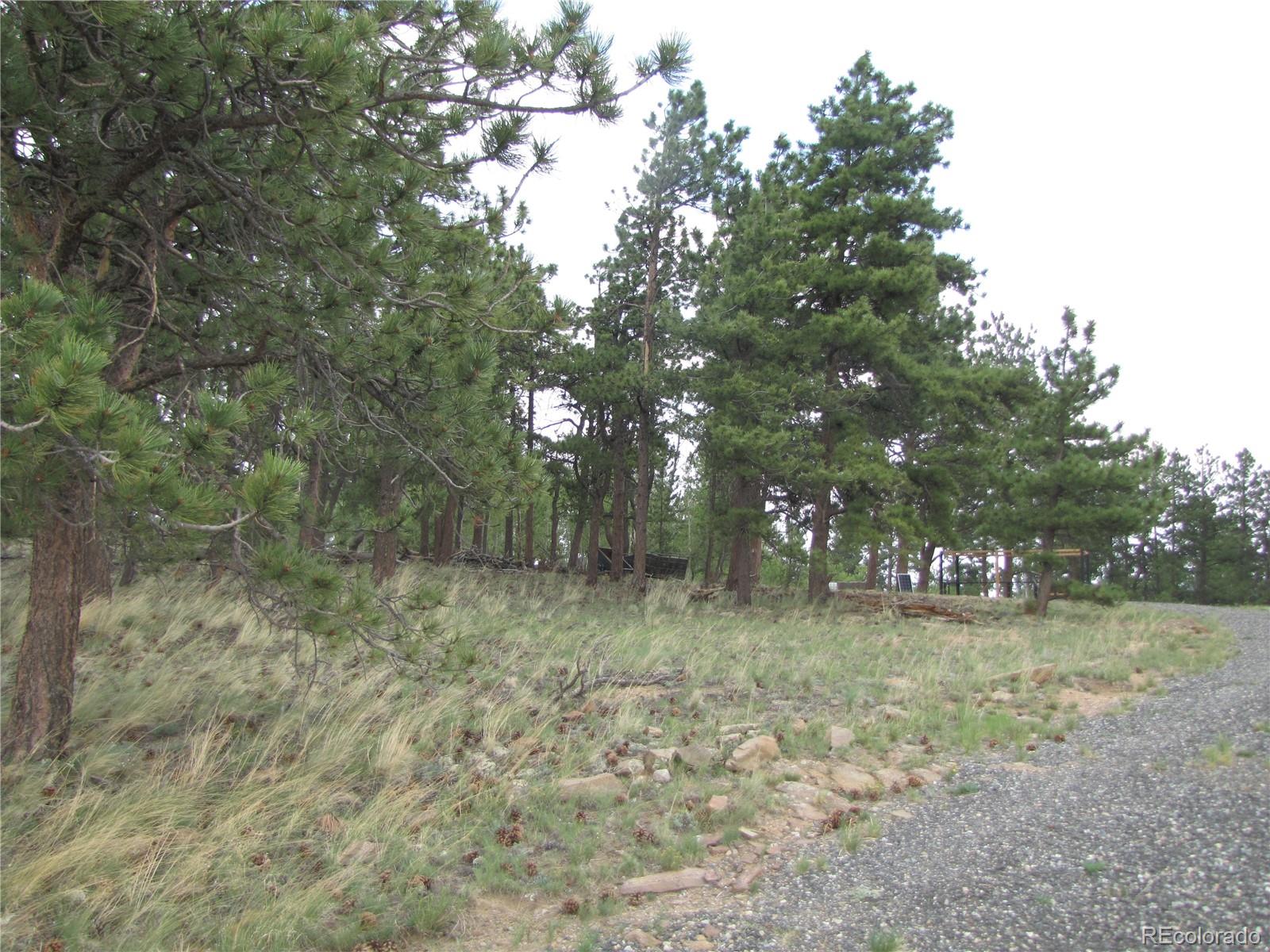 946 Wagon Wheel Road Hartsel, CO 80449 - Photo 4 of 15 Gallery Image 4