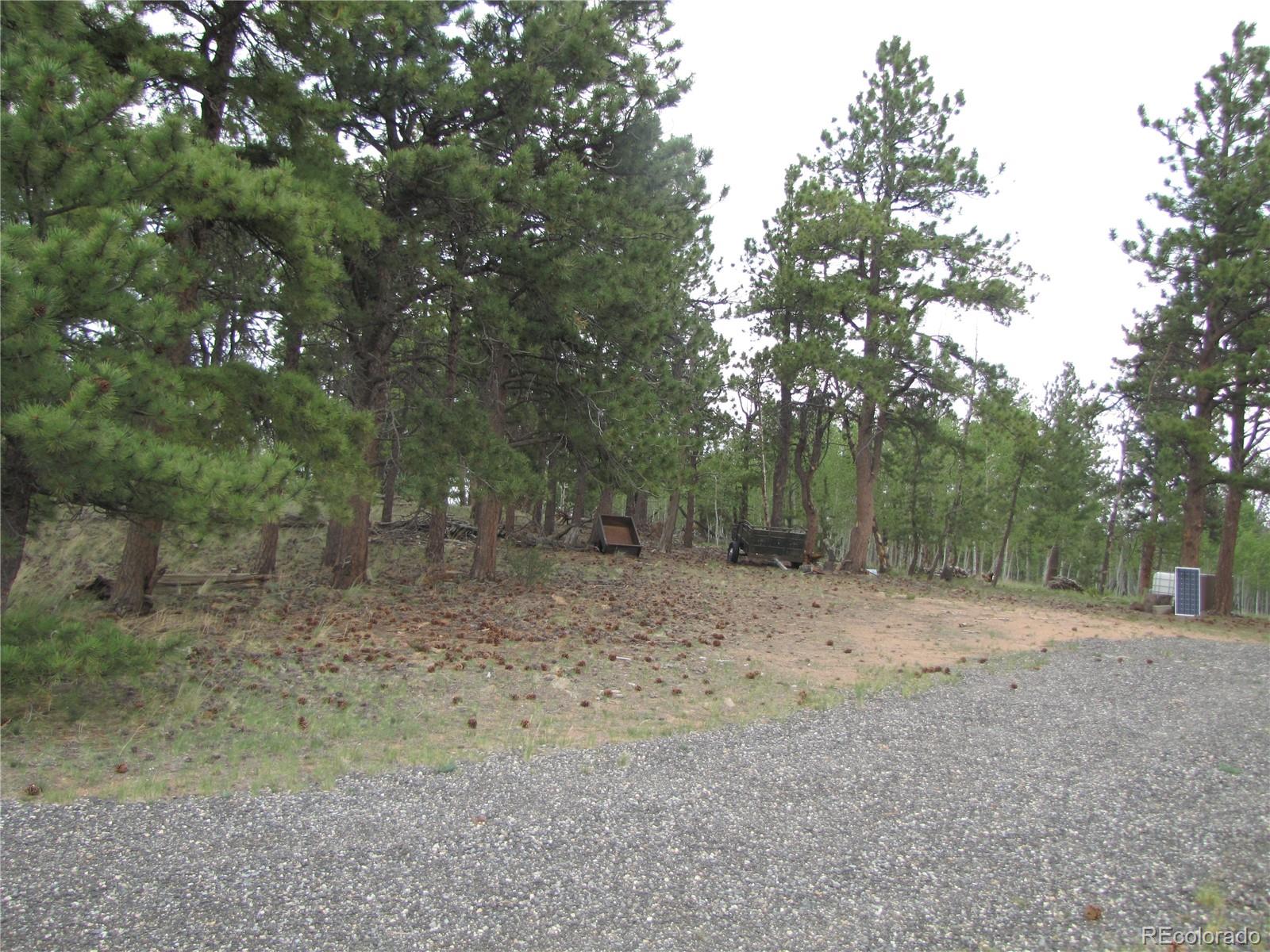 946 Wagon Wheel Road Hartsel, CO 80449 - Photo 5 of 15 Gallery Image 5
