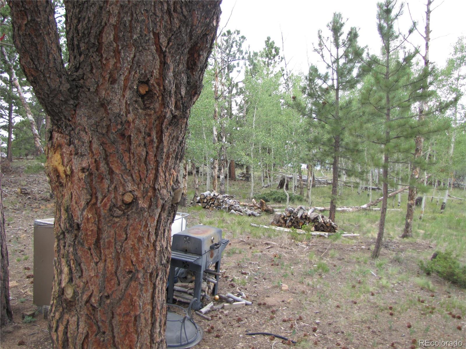 946 Wagon Wheel Road Hartsel, CO 80449 - Photo 9 of 15 Gallery Image 9