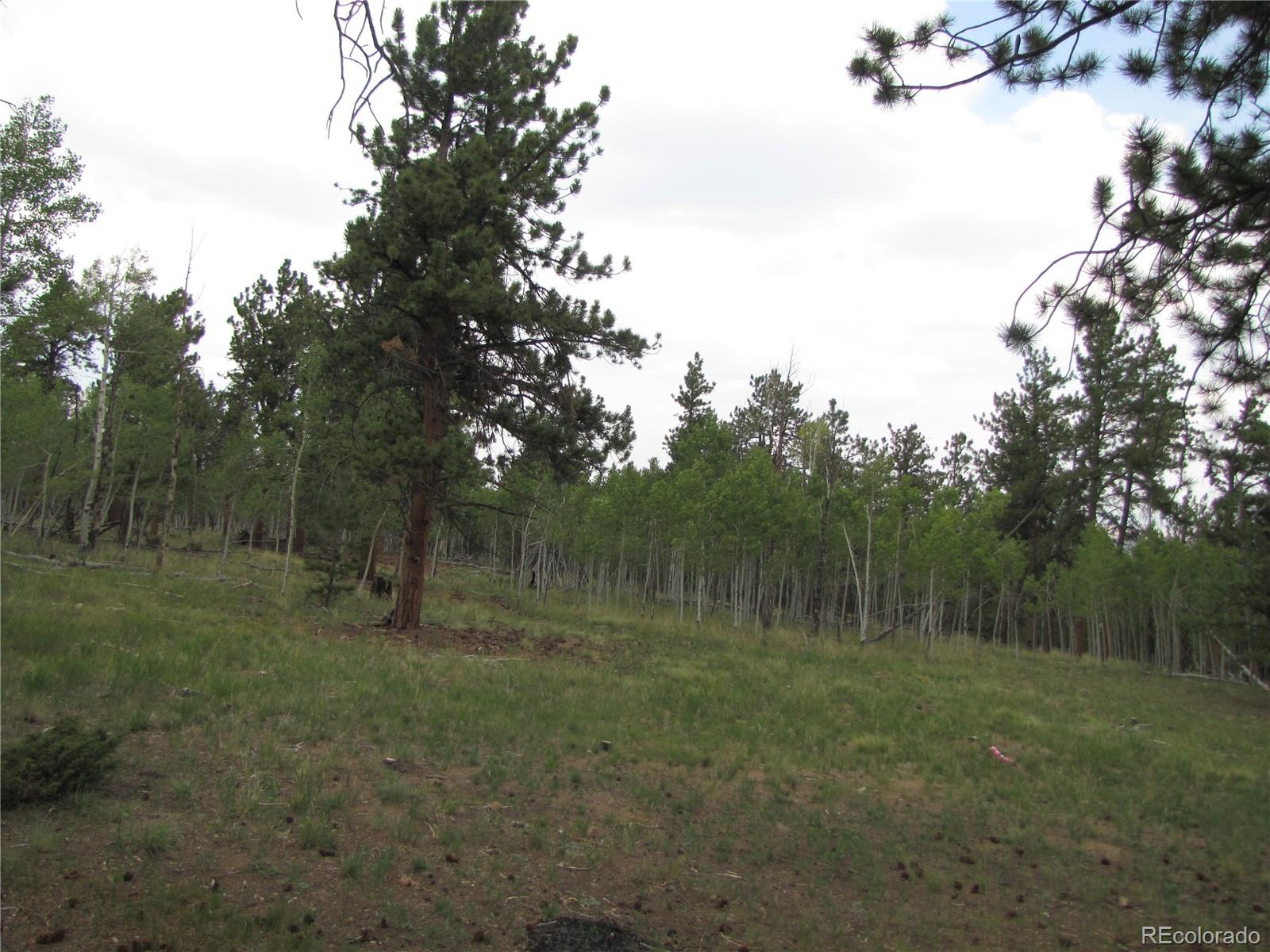 946 Wagon Wheel Road Hartsel, CO 80449 - Photo 10 of 15 Gallery Image 10