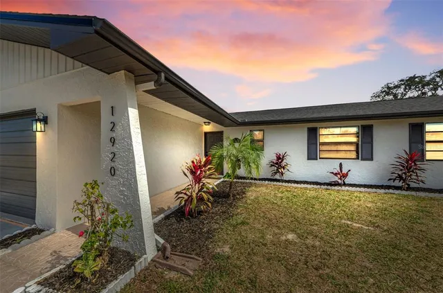 a view of a back yard of the house