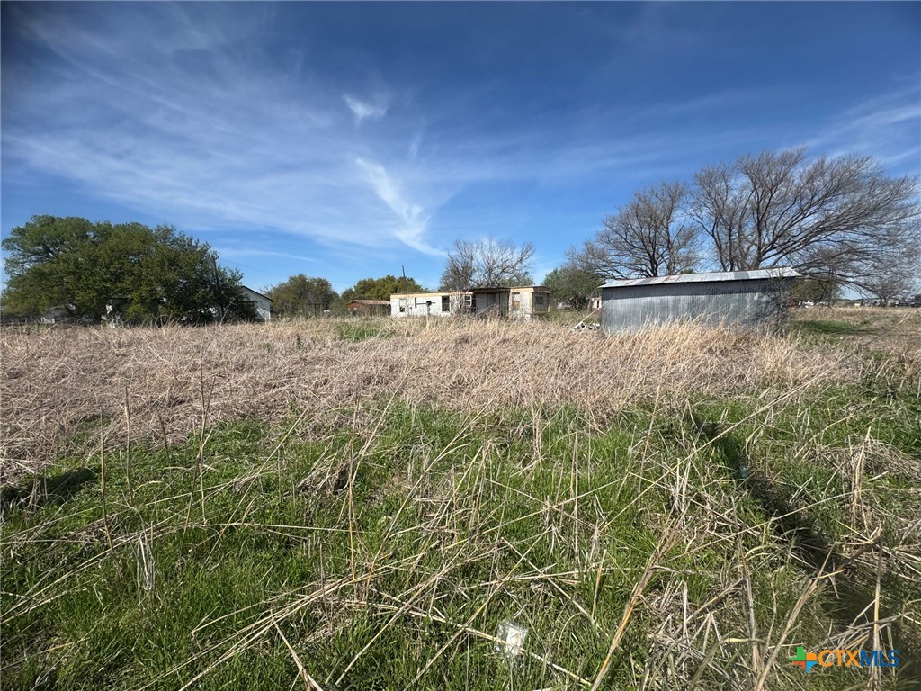 224 5th Street Burlington, TX 76519 - Photo 6 of 8 a view of a yard