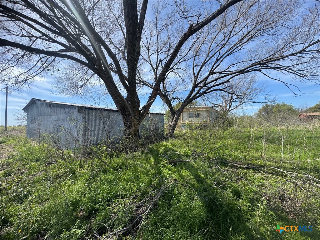 224 5th Street Burlington, TX 76519 - Photo 7 of 8 a view of backyard with tree