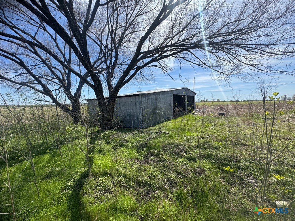 224 5th Street Burlington, TX 76519 - Photo 8 of 8 a view of a yard with plants and large trees