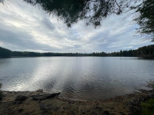 13 Parkey Road Barnstead, NH 03218 - Photo 8 of 15
