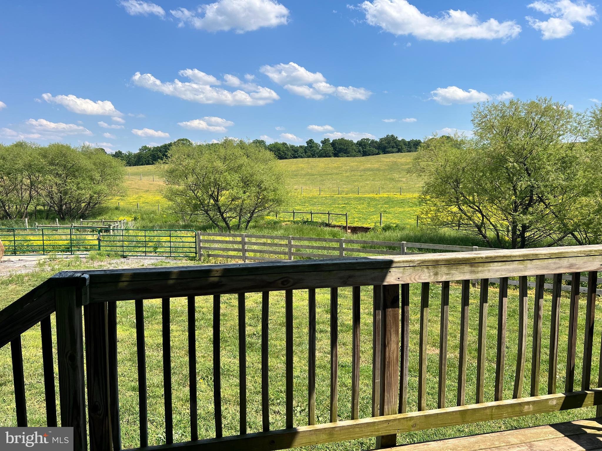4337 A Cap Stine Road Frederick, MD 21703 - Photo 20 of 21 Back Deck