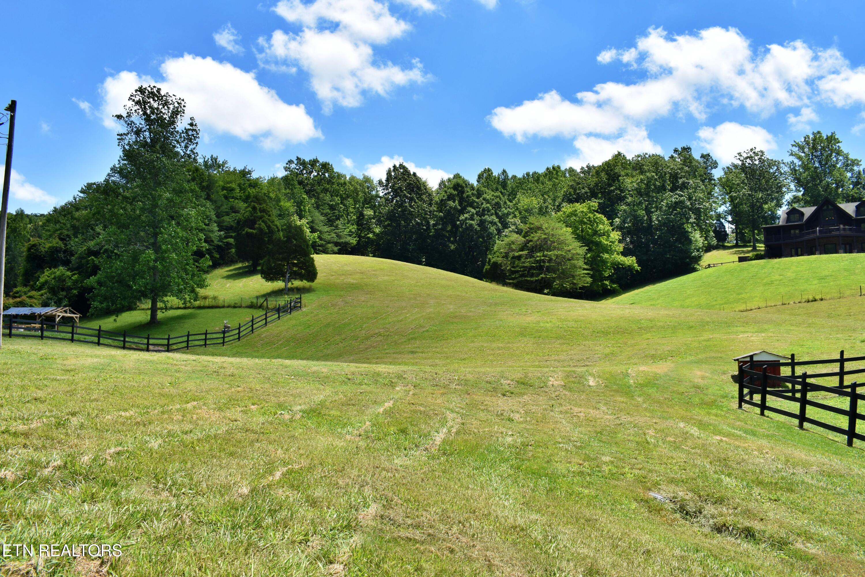 1319 Ideal Valley Road Spring City, TN 37381 - Photo 25 of 49 DSC_0756
