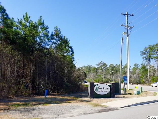 1266 Pollen Loop Murrells Inlet, SC 29576 - Photo 23 of 28 Gallery Image 23