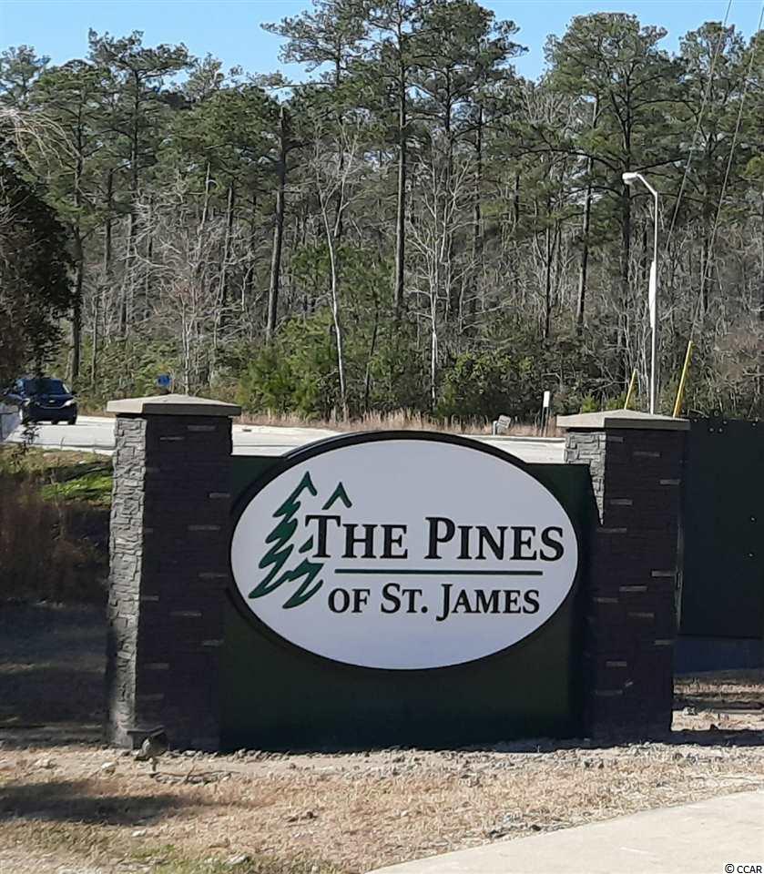 1266 Pollen Loop Murrells Inlet, SC 29576 - Photo 24 of 28 Gallery Image 24