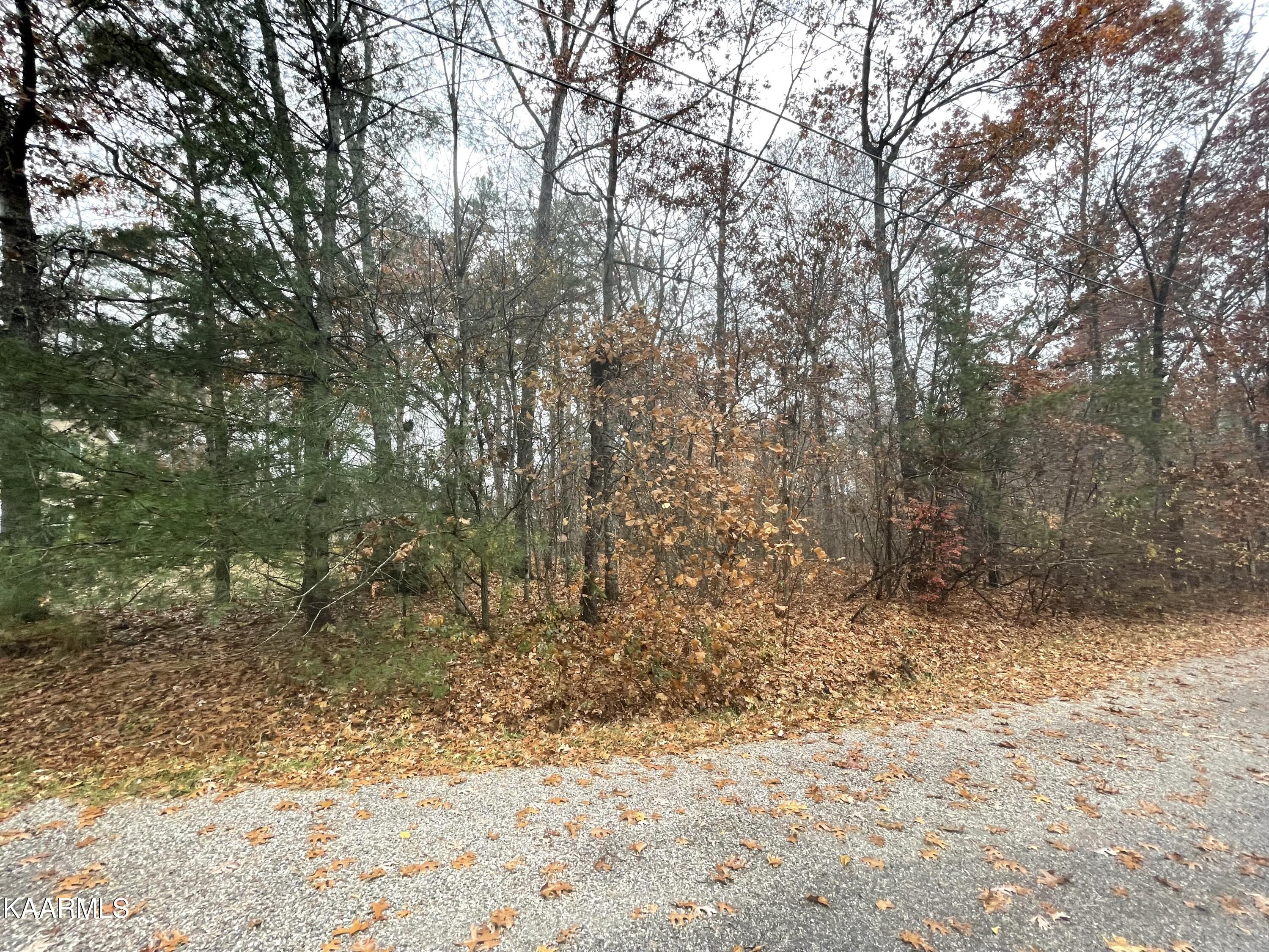 114 Cappshire Road Crossville, TN 38558 - Photo 4 of 6 114 cappshire 2