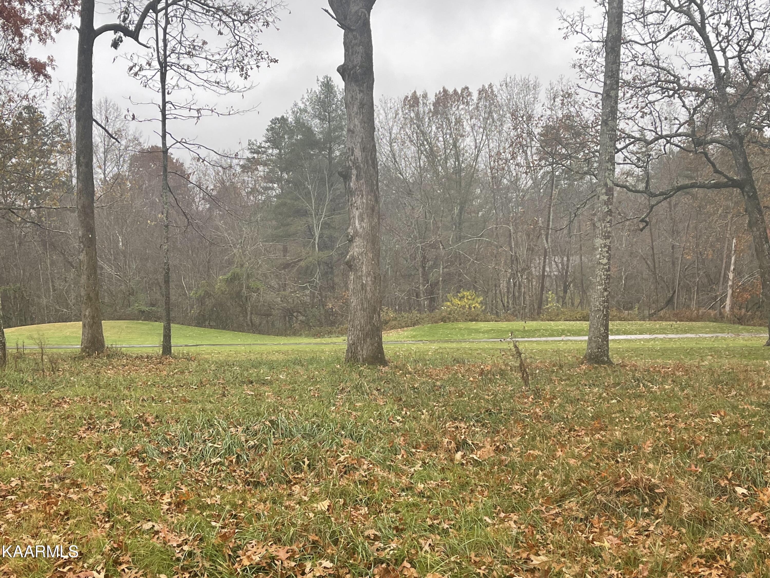 114 Cappshire Road Crossville, TN 38558 - Photo 5 of 6 114 cappshire 4