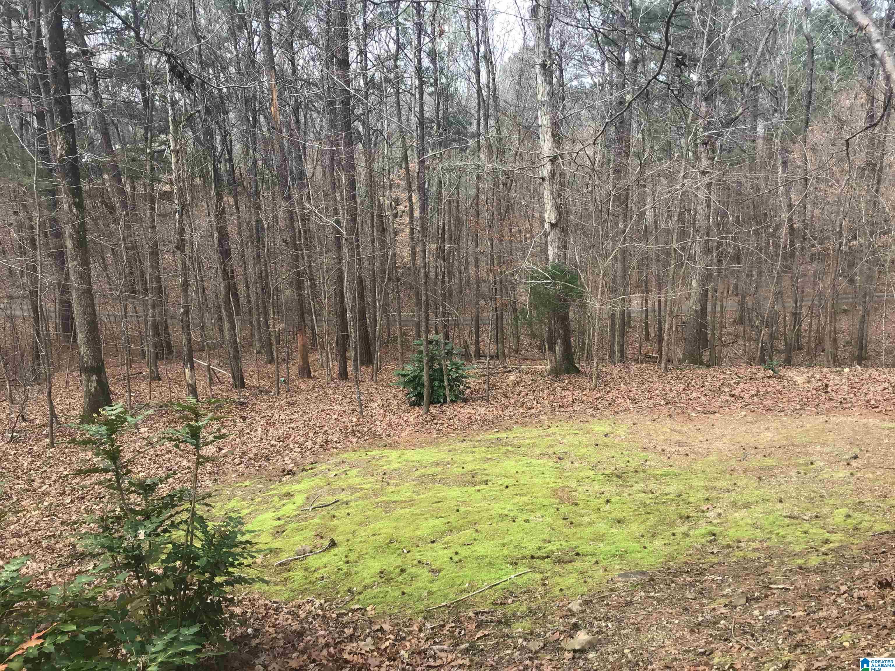 183 Weatherly Way Pelham, AL 35124 - Photo 50 of 52